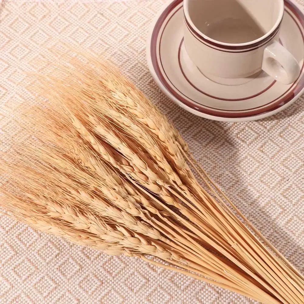 50pcs Artificial Flower Natural Dried Wheat Stalks DIY Craft Elegance Dry Wheat Spikes Rustic Dried Flowers Christmas Decoration view 2