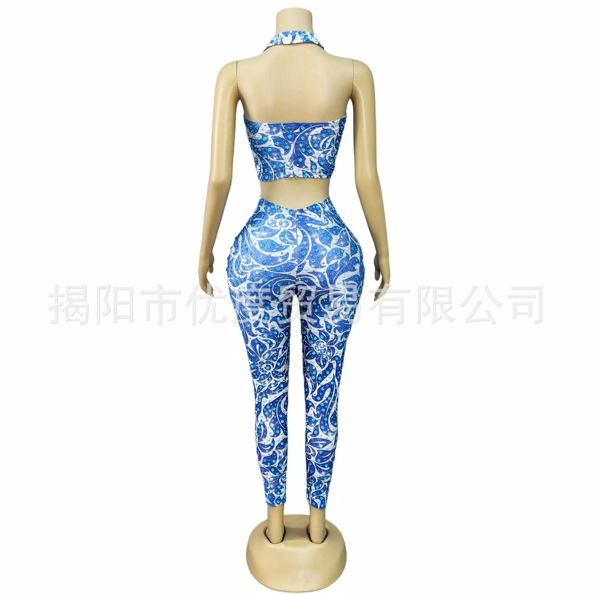 Blue Rhinestone Vest Pants Two-piece Elastic Yoga Suit Stage Performance Suit Night Party Costume Blue Flame Flower Mesh Dresses