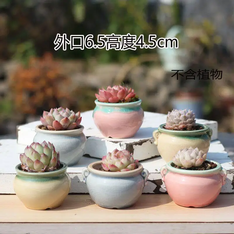 Combination succulent flower pot kiln change Maifan stone pot retro large mouth ceramic breathable suction thumb old pile