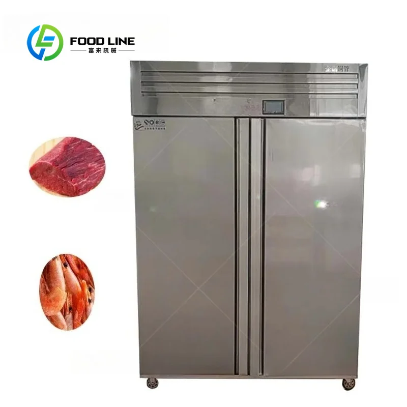 Multifunctional Frozen Meat Defroster Thawing Cabinet Fish Food Defrosting Machine Commercial Low Temp High Humidity customized