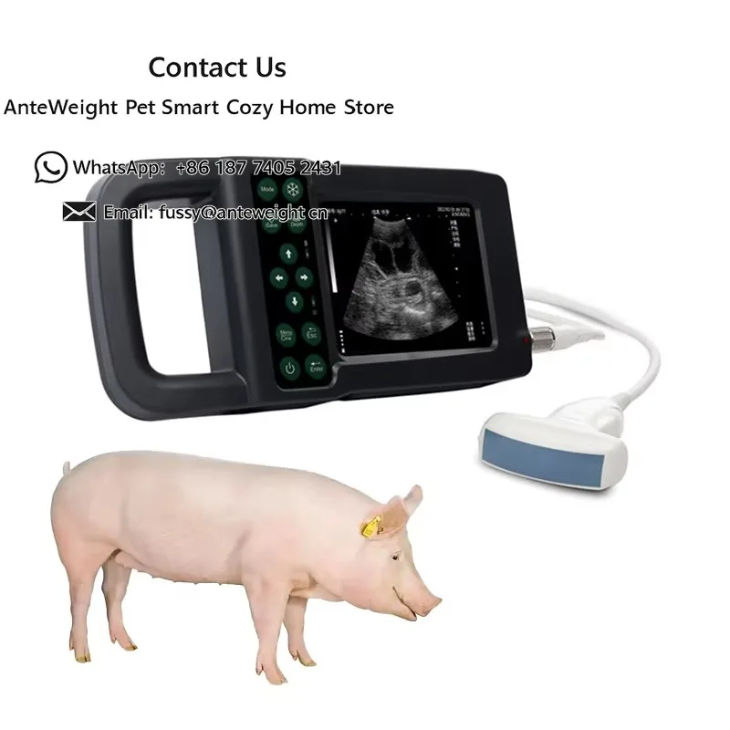 

Pig Pregnancy Detection Portable Veterinary Ultrasound Scanner Handheld with Large Convex Probe for Pig and Sheep
