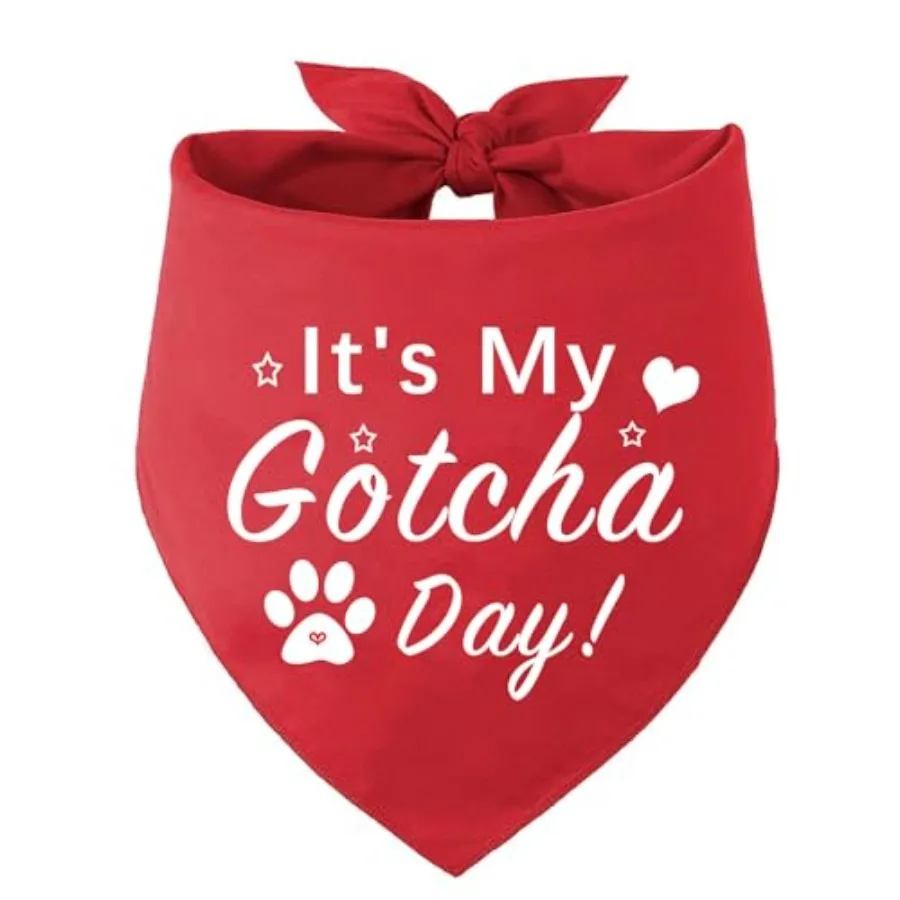Happy Gotcha Day Do…