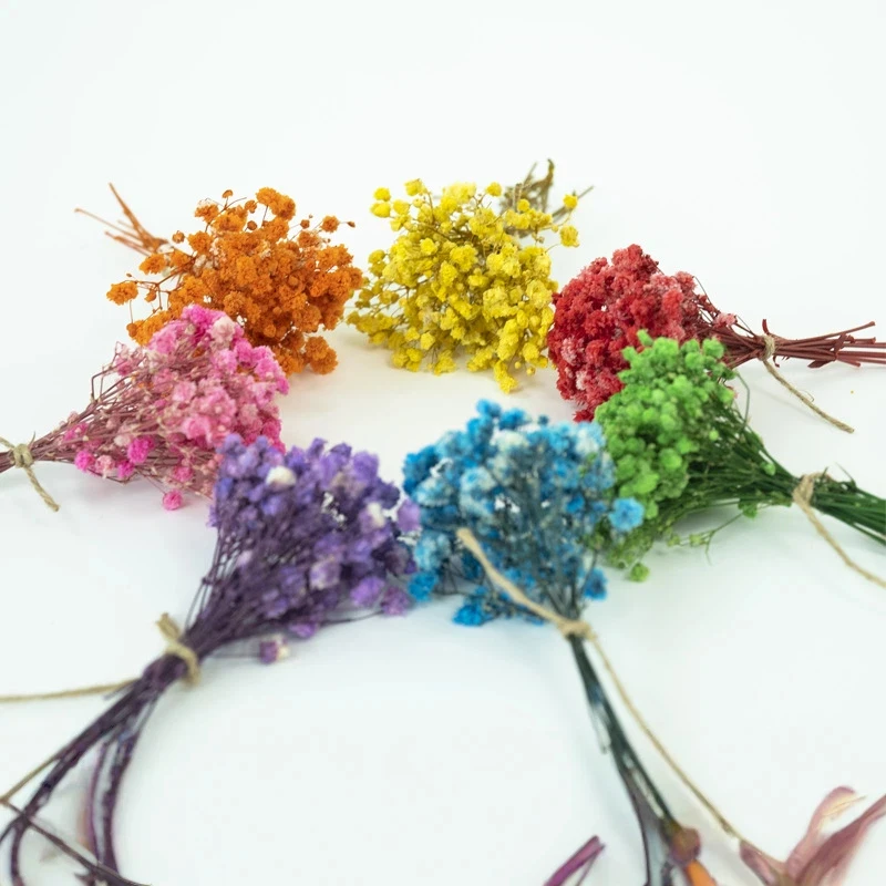 50 قطعة زهور تنفس الطفل المجففة الصغيرة ل الراتنج الحرفية Diy بها بنفسك ديكور المنزل الزفاف اللمس الحقيقي جيبسوفيلا حزمة صغيرة تجميل هدية