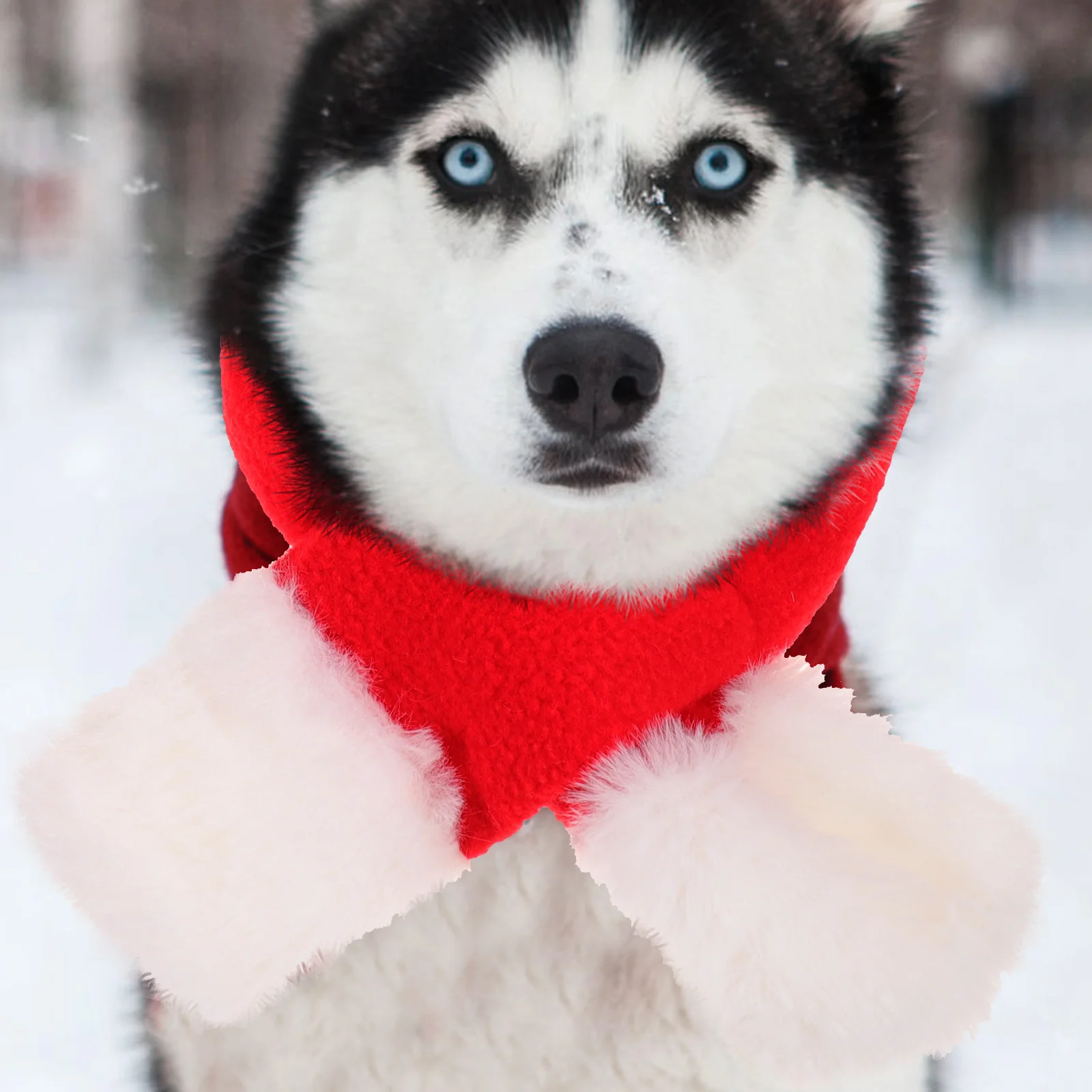 

1 set Cute Bow Dog Hat Pet Headdress Set Cotton Puppy Scarf Photo Prop Warm Winter Accessories Dog Birthday Hat Pet Supplies