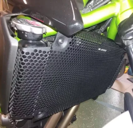 Motorcycle Accessories For Kawasaki Z650RS Performance 40th Anniversary Edition 2022-2025 Radiator Grille Guard Cover Protector