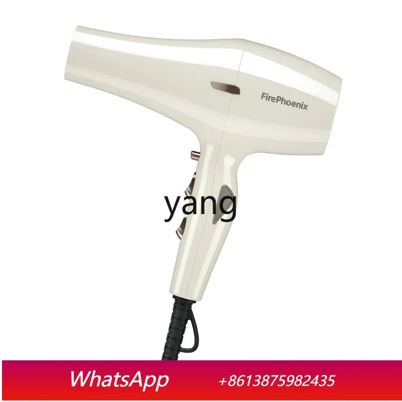 LTT High-Power Barber Shop Hair Stylist Household Hair Dryer