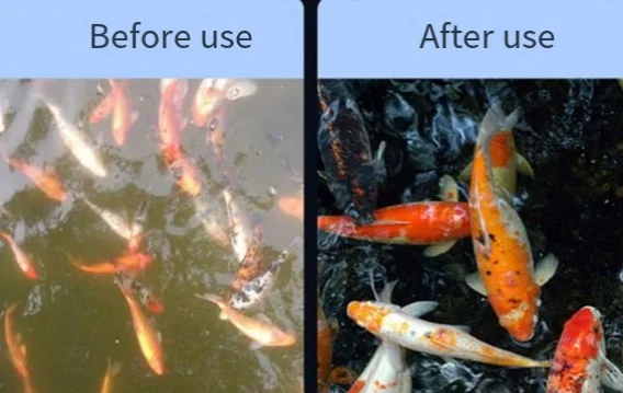 Fish pond filter Rotary drum micro filter Aquaculture water circulation purification system Automatic backwash system