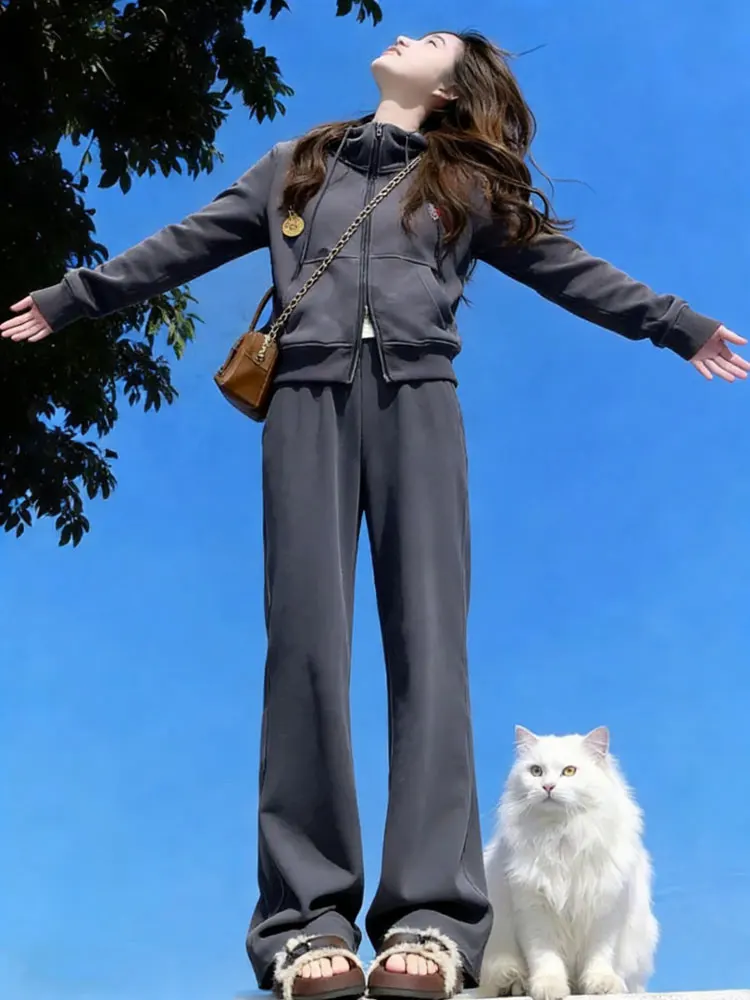 

Korean Design Hooded Cardigan Sweater Women's Spring New Casual Sports Wide Leg Pants Two-Piece Set High Waist Zipper Warmth