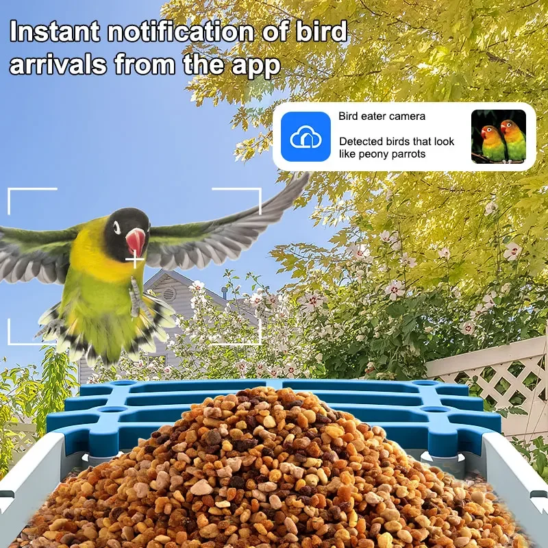 Solar Powered AI Bird Feeder Camera, 10000 + Species, Video Recording, Works with Alexa Google Home, Nature Gift, 5MP HD