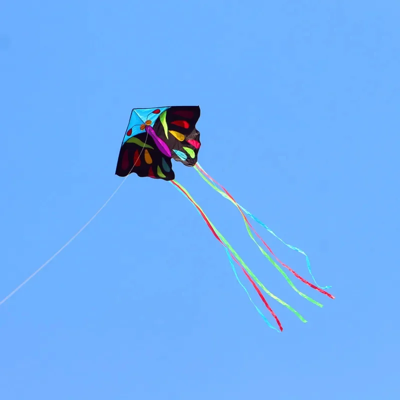 spedizione gratuita aquiloni farfalla per adulti aquiloni bobina grandi aquiloni fabbrica cerf volant ali di farfalla giochi da giardino per bambini