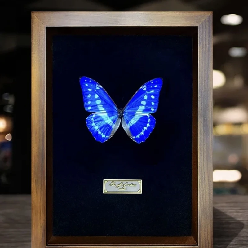 Butterfly specimen three-dimensional decorative painting photo frame ornament