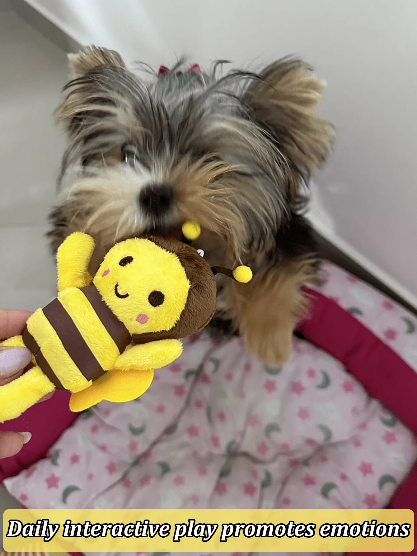 2 Packungen Welpen-Kauspielzeug – niedliche Bienenform, geeignet für Welpen und kleine Hunde, für Zahnwachstum, Zahnreinigung, Linderung von Zahnbeschwerden – Detail 6