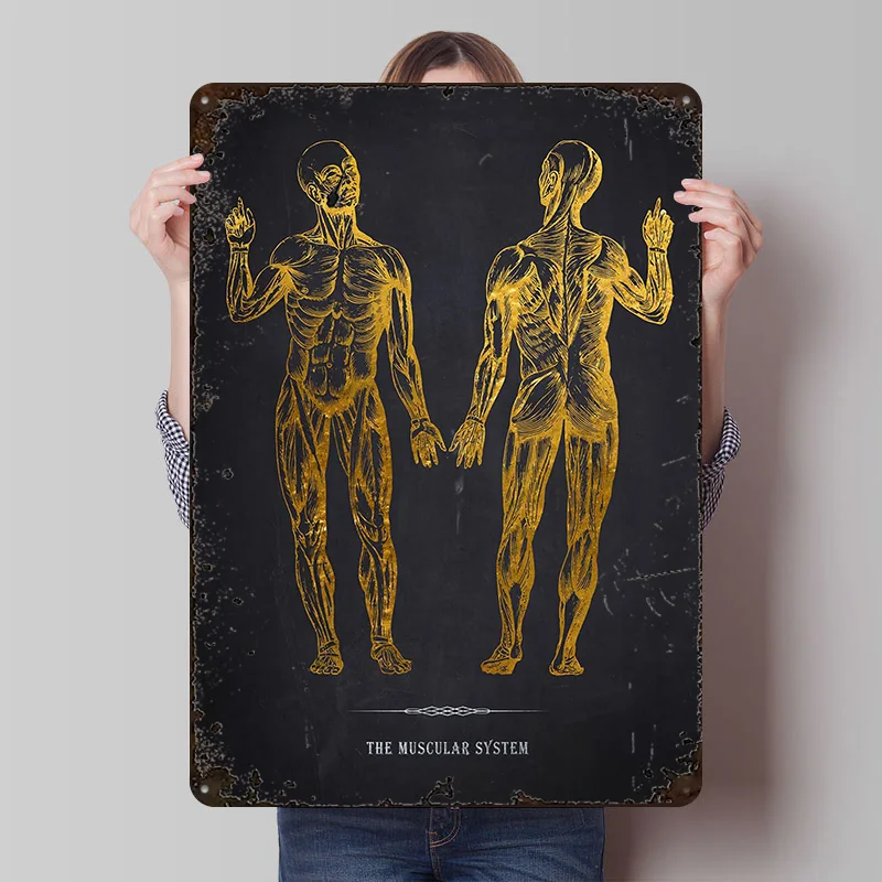 الذهب نظام العضلات تشريح القصدير تسجيل الجدار ملصق فني عناصر ديكور المنزل الفاخرة خمر علامات معدنية الرجعية لغرفة الديكور المنزل