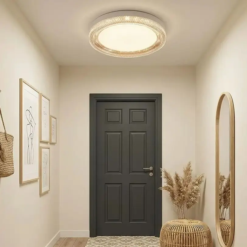 Modern LED Ceiling Light Ultrathin Circular Ceiling Lamp 48W 36W 24W for Bedroom Balcony Kitchen Lighting Fixtures AC85-265V CCT