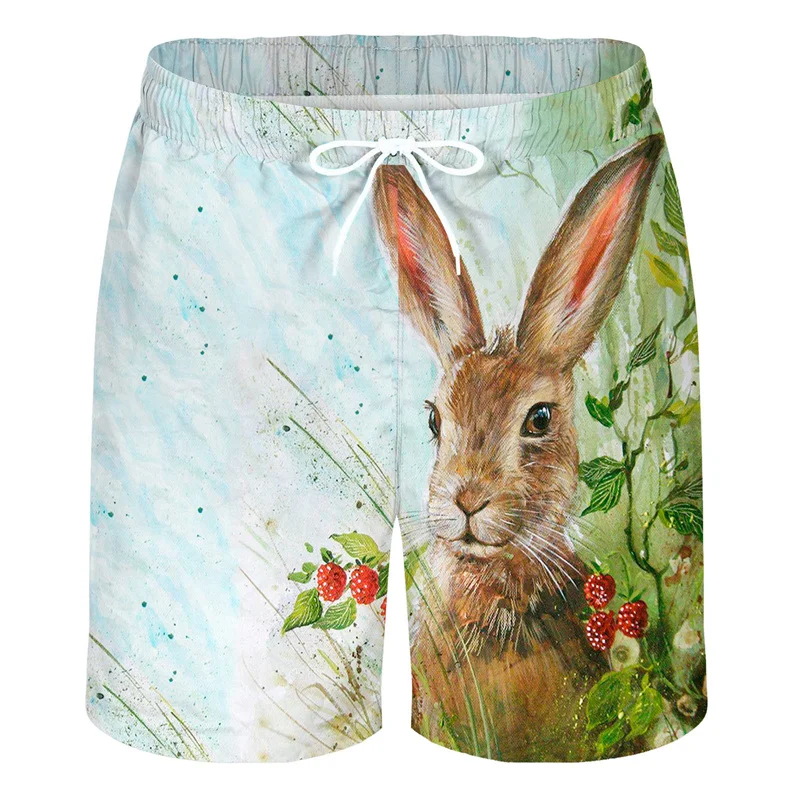 Cartoon Painting Animal 3d Print Beach Shorts Men Summer Street Short Pants Rabbit Pattern Surf Board Shorts Loose Swim Trunks