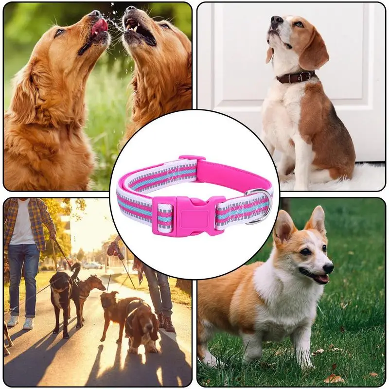 

Dog Collar Reflective Pet Collars Dog Collars Adjustable Colorful Reflective Dog Collar With Safety Buckle For Small Medium