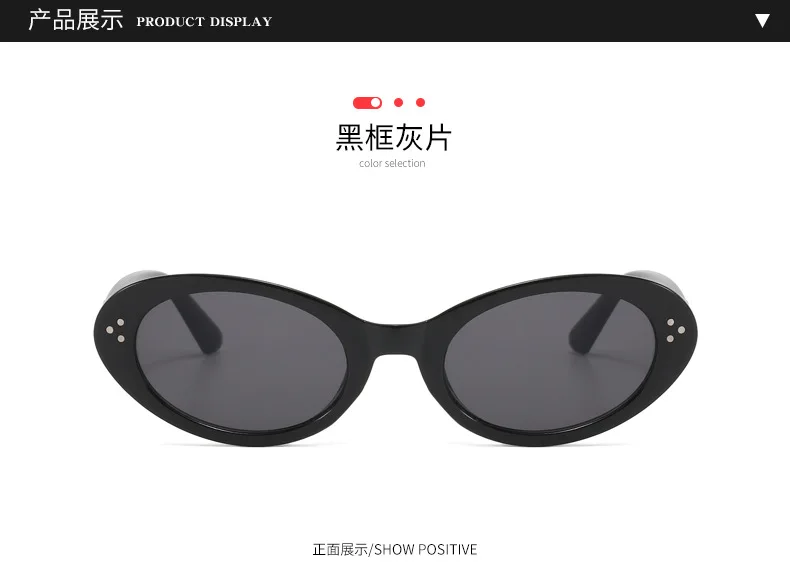 Neue Vintage Runde Sonnenbrille für Damen und Herren Marken-Kreisförmige Sonnenbrillen Ovale Brillen für Männer und Frauen – Detail 5