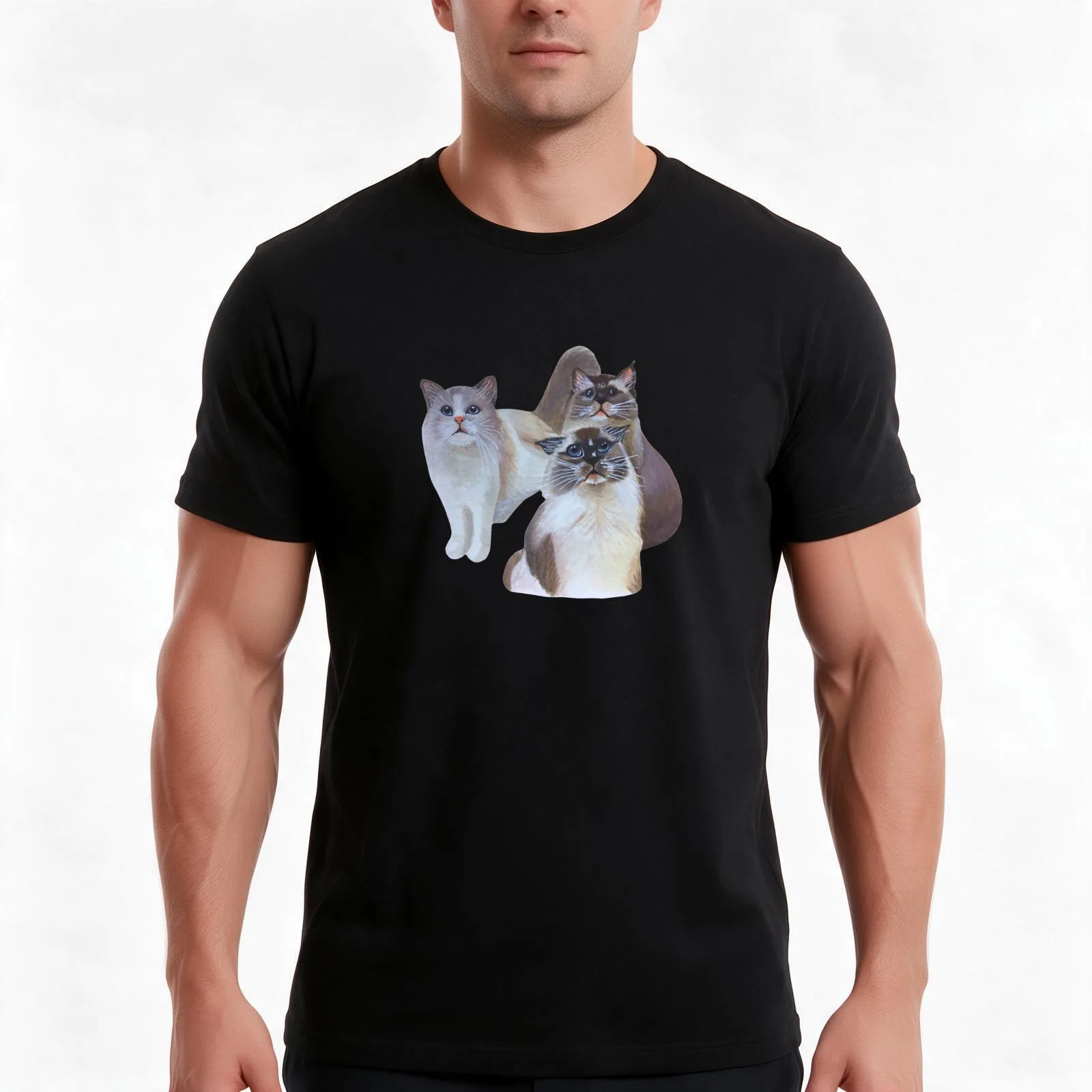 Ragdoll kittens T-Shirt, Summer Casual Cotton Tee, Oversized Streetwear Tops, Vintage Graphic Print, Loose Fit Short Sleeve