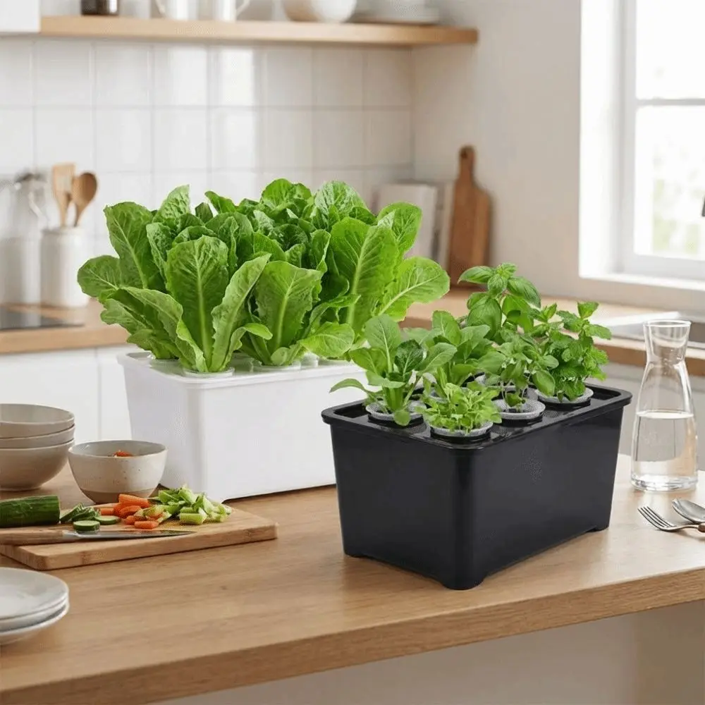 6 Holes Hydroponic Grower Kit Self Watering Seedling Pots Nursery Pots Planting Container Thicken Soil-Free Planting Box