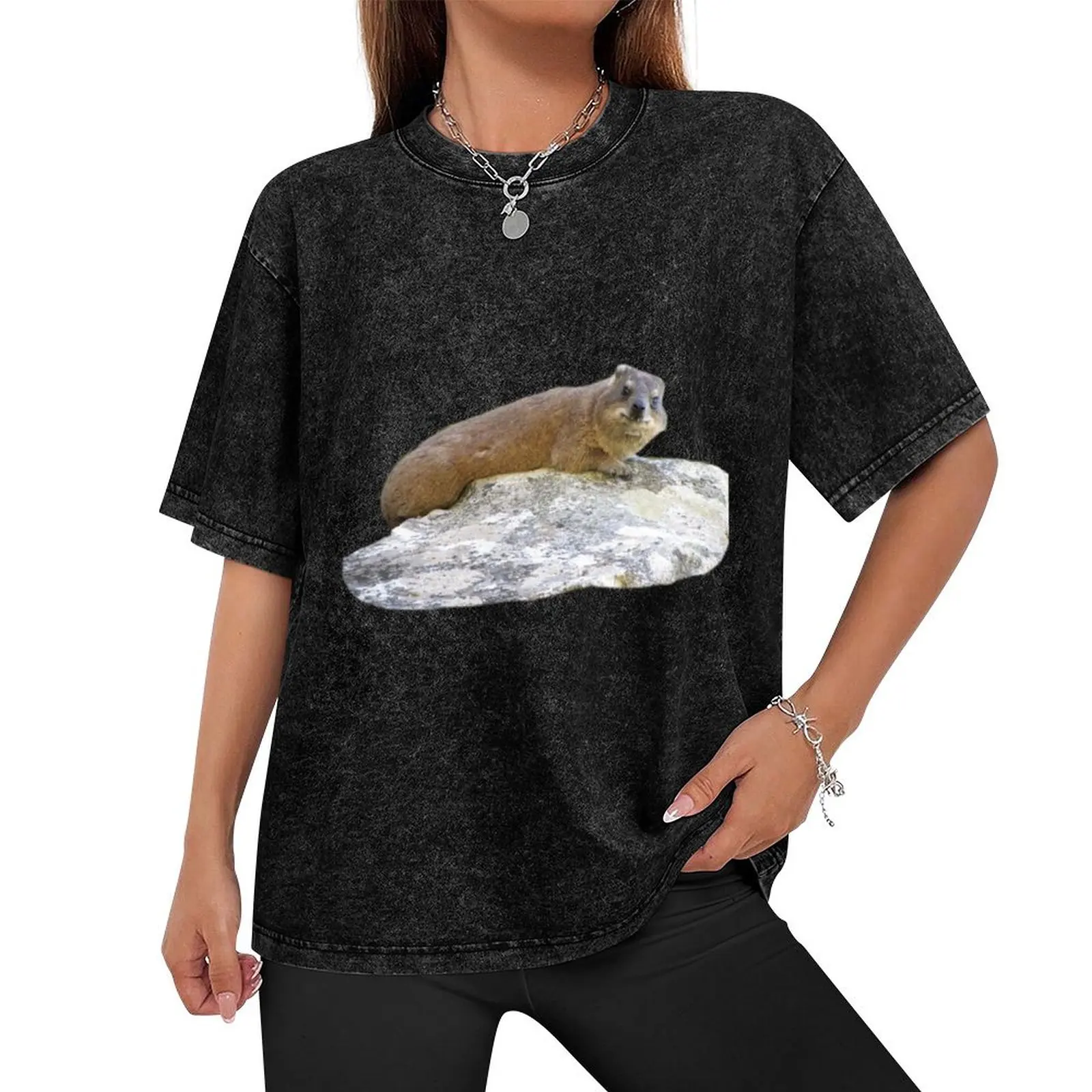 Rock hyrax on a rock T-Shirt Clothing graphics mens vintage t shirts