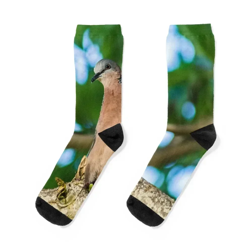 Spotted Dove Socks sheer anti-slip Stockings compression Socks Men's Women's