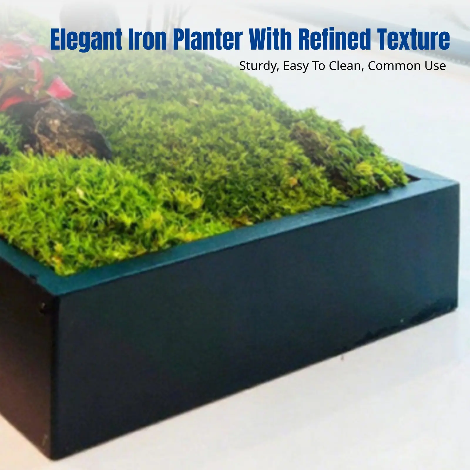

Iron Flower Trough, Rectangular Desktop Planter, Moss Tray, Indoor Landscape, Stainless Steel