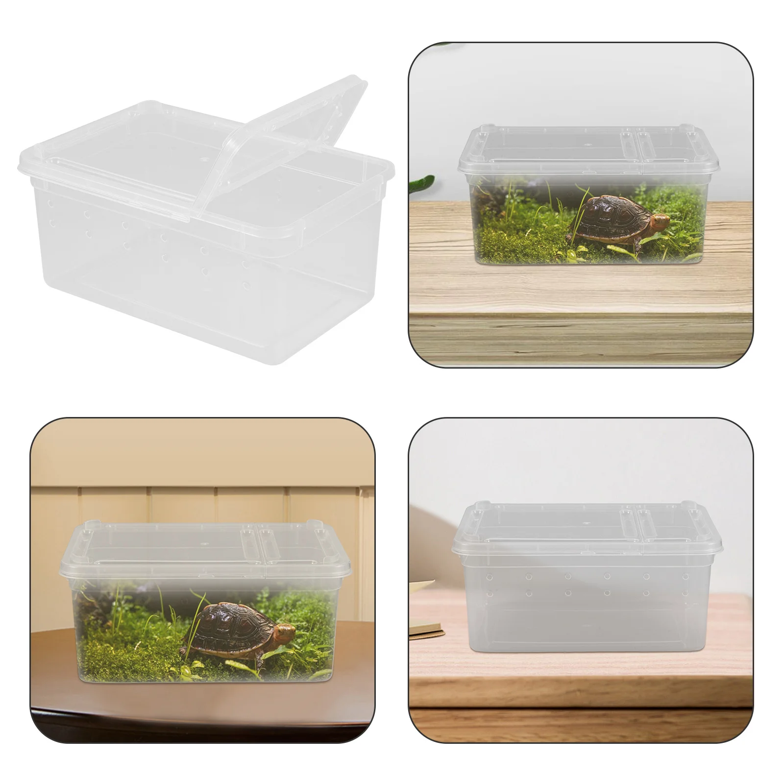 

Reptile Feeding Box Compact Acrylic Terrarium For Spider Lizard Frog Turtle Small Animals Breeding Habitat Enclosure