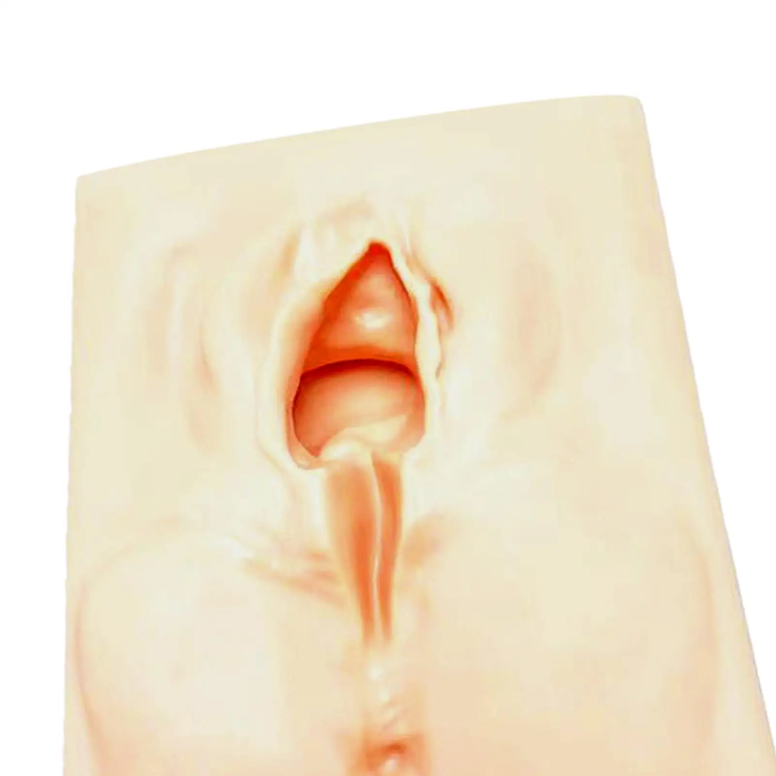 Perineal Practice Durable Perineum for Study, Fuchsia Training