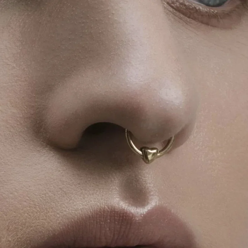 ASTM F136 Titanium Heart Clicker Septum Piercing 16G Daith Helix Earring Piercing 2024 New Nose Rings Anodized Body Jewelry