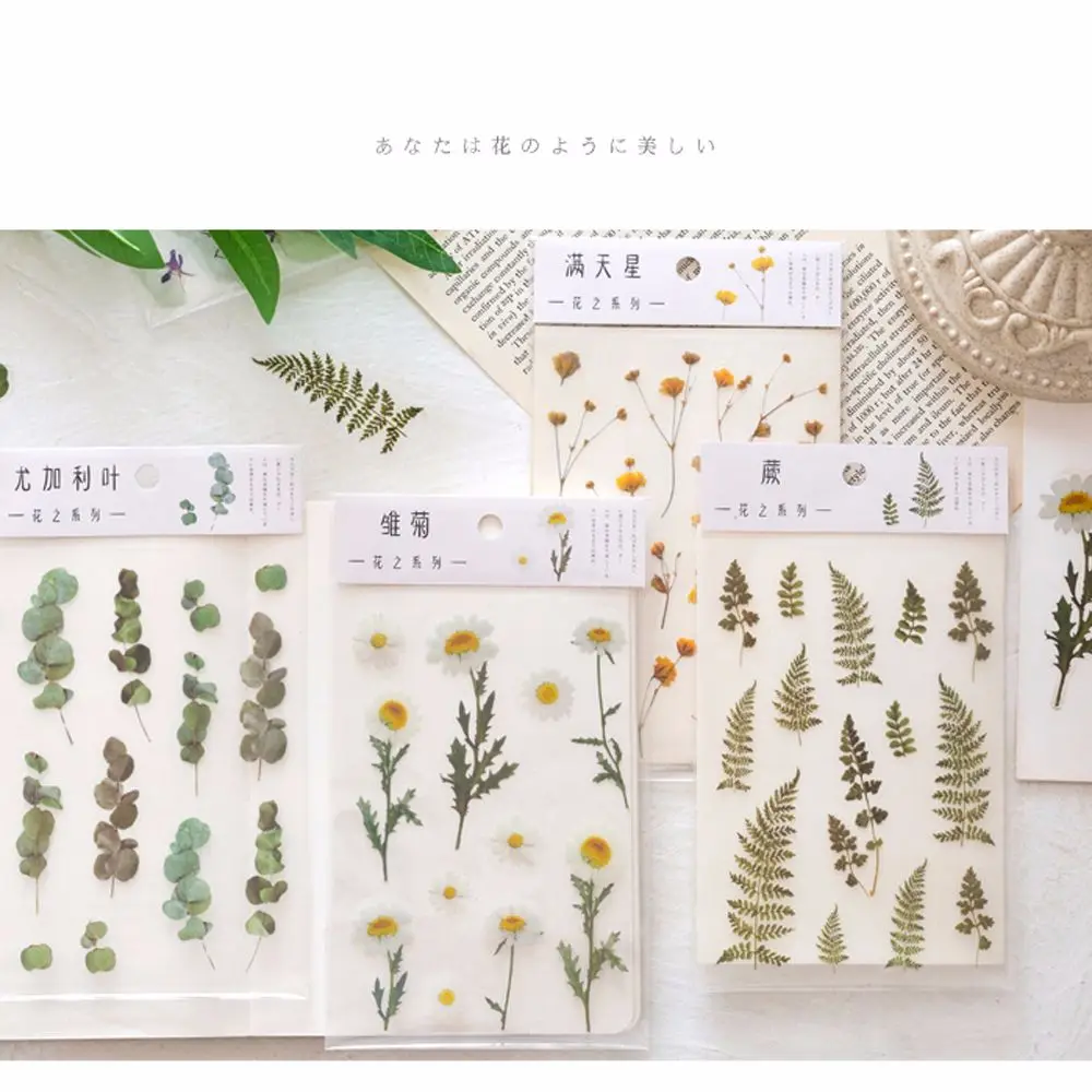 Words Flowers Leaves Sticker PET Iris Flower Daisy Daisy Sticker Transparent  Sticker Deco Sticker Clover Handbook Sticker