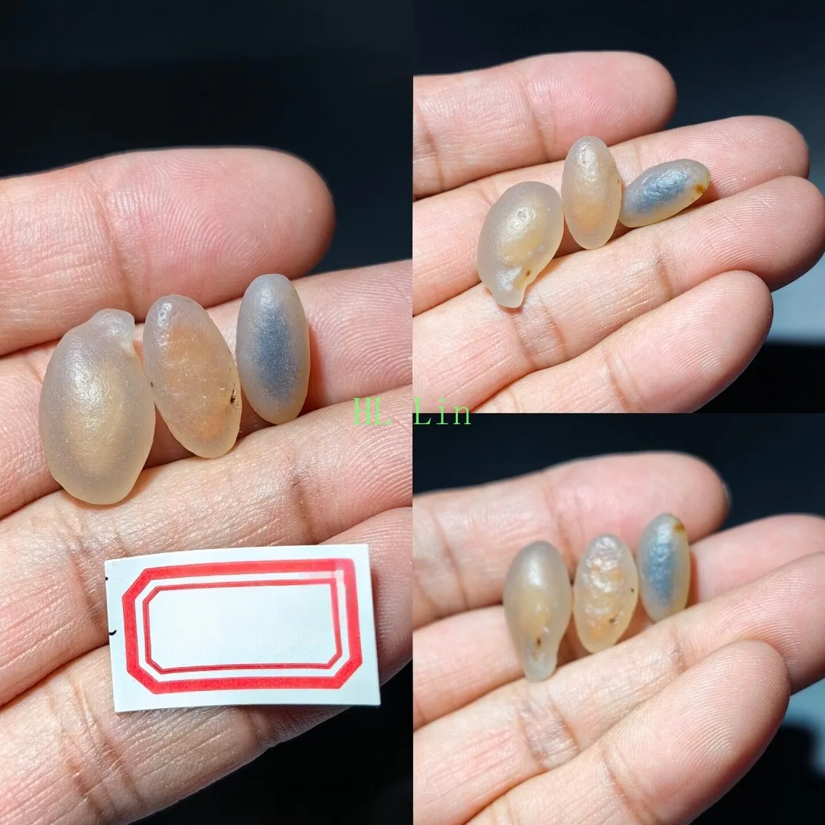 Jade Tone Candy Agate in Glass Vial, 10-15mm Natural Unpolished, Crystal Clear, Collectible Collection.Candy Agate