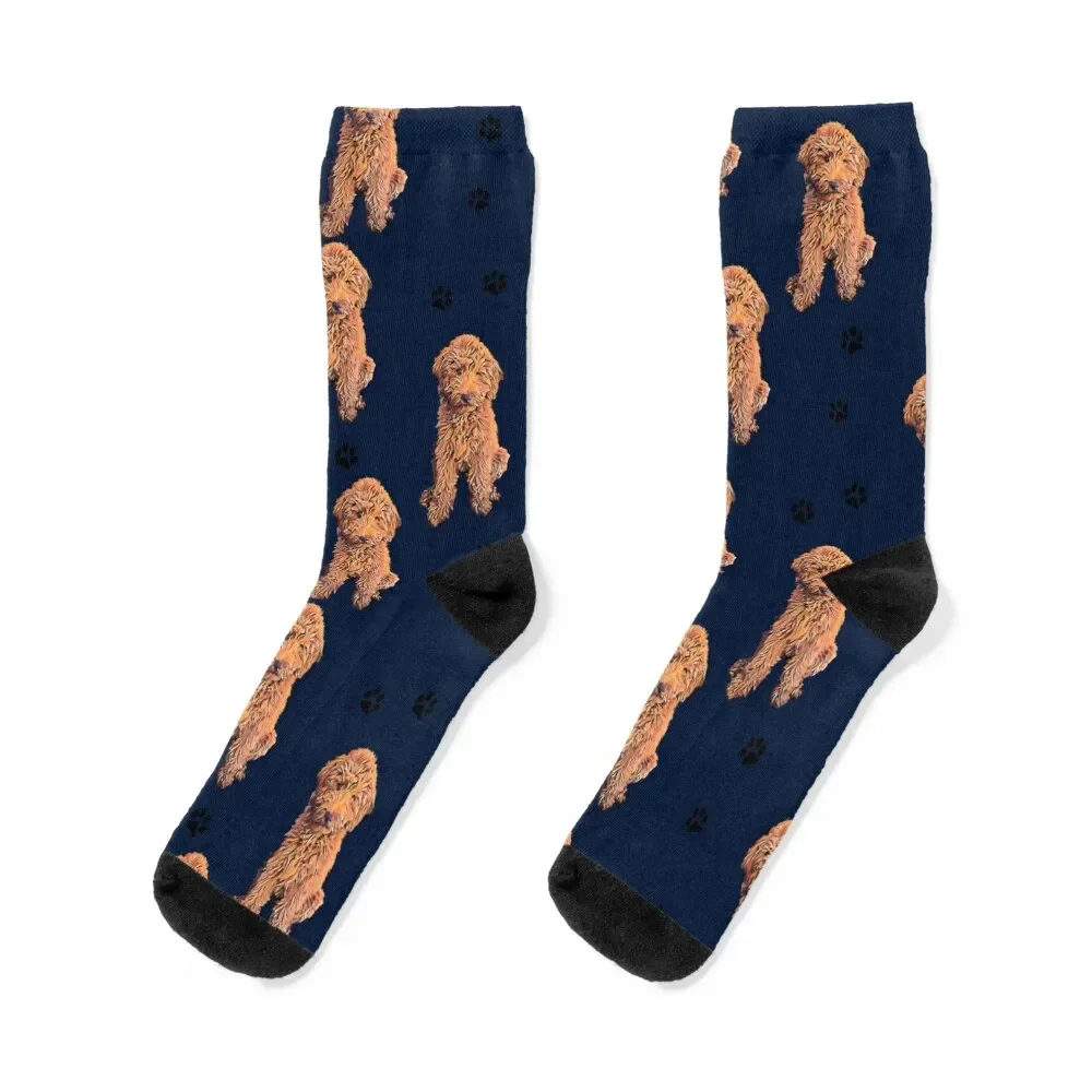 

Red Goldendoodle Socks soccer anti-slip Run anti-slip Men's Mens Socks Women's