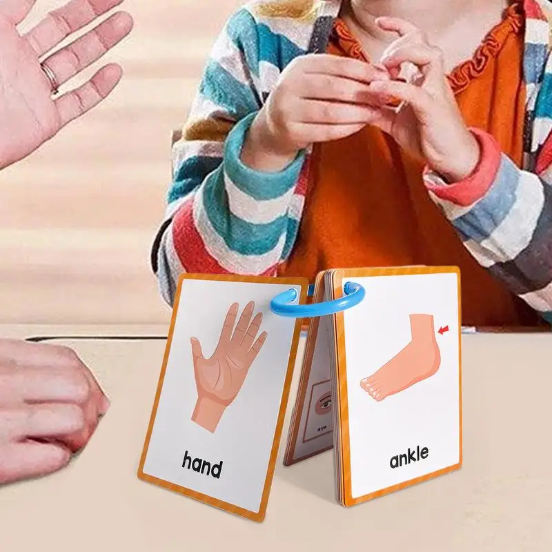 Body Parts Flash Cards English Pocket Card 15Pieces Body Parts Flash Card Vocabulary Words Flashcard Educational Learning