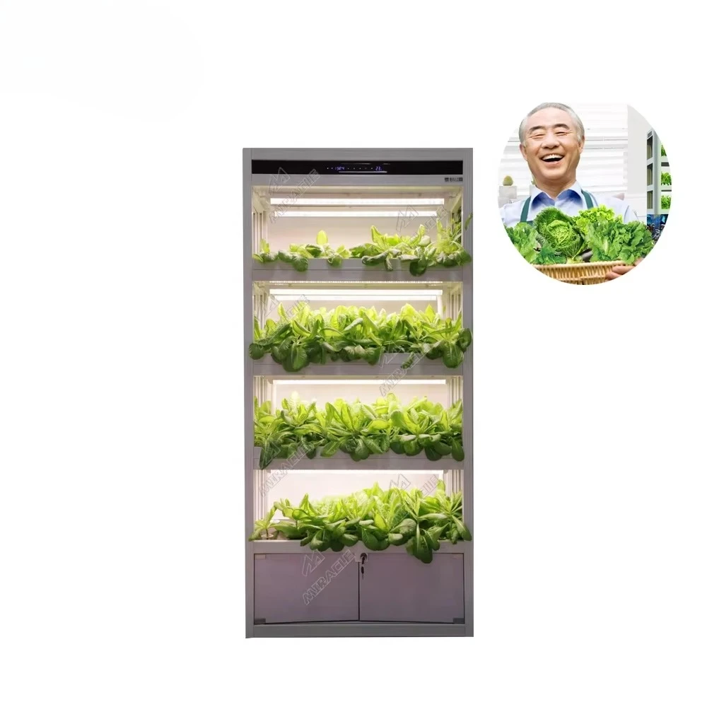 

Вертикальная гидропонная система выращивания в помещении Системы выращивания гидропоники