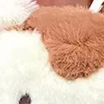 Lovely Kittens Puppies Plush Keychain Cute Doll Backpack Pendant Girls Women Animal Doll Keychain With Glasses Cleaning