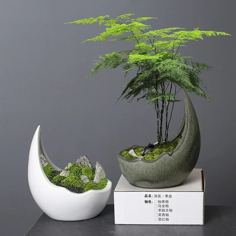 Rhinoceros Horn Shape Ceramic Flower Pot Green Plant Pot Succulent Planter Cactus Bonsai Pot Flower Container Home Decoration