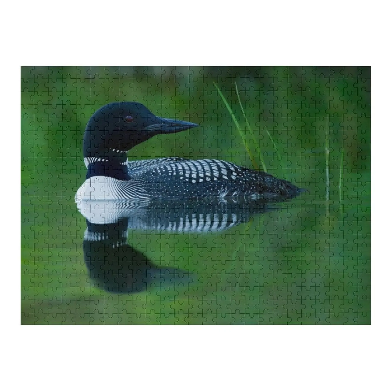 

Common Loon Jigsaw Puzzle Personalized Wooden Name Christmas Toys Works Of Art Puzzle