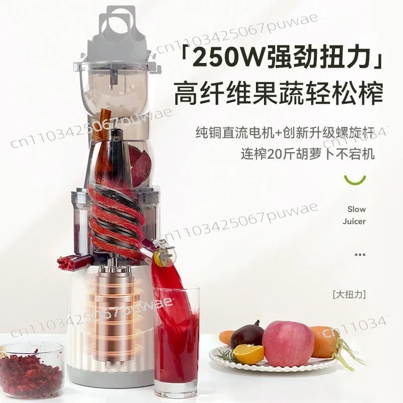 Commercial Large Feed Chute Juicer - Pulp Separation Fruit Vegetable Juicer for Home - No-Cut Masticating Juicer Machine