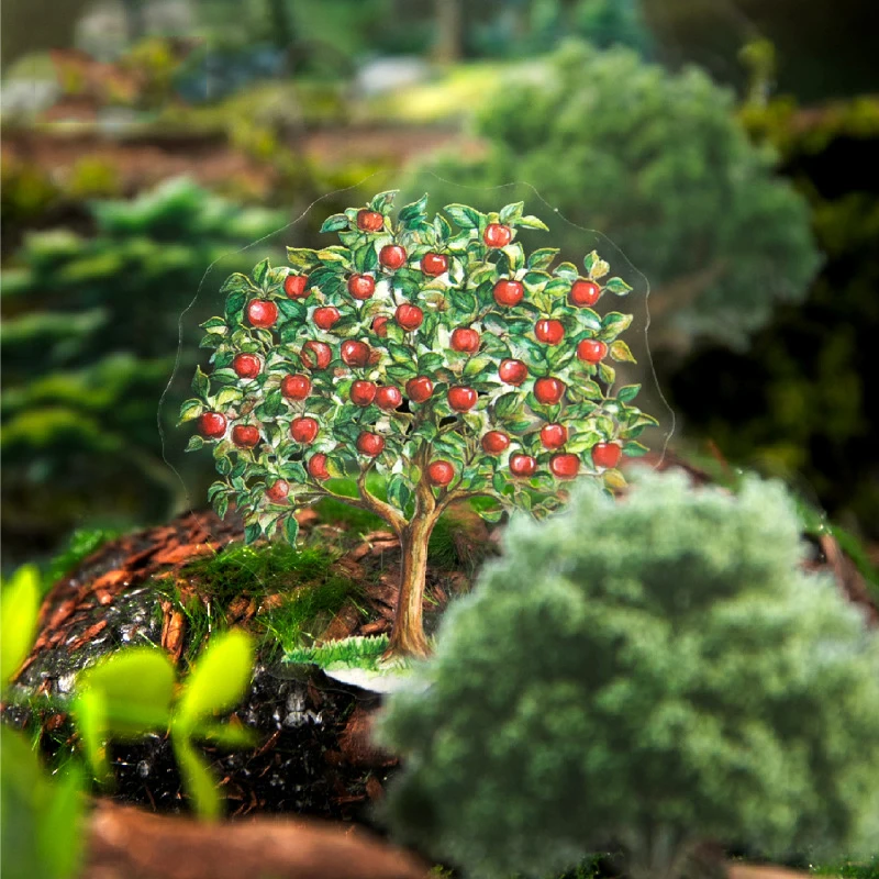 Romantic Forest Ser…