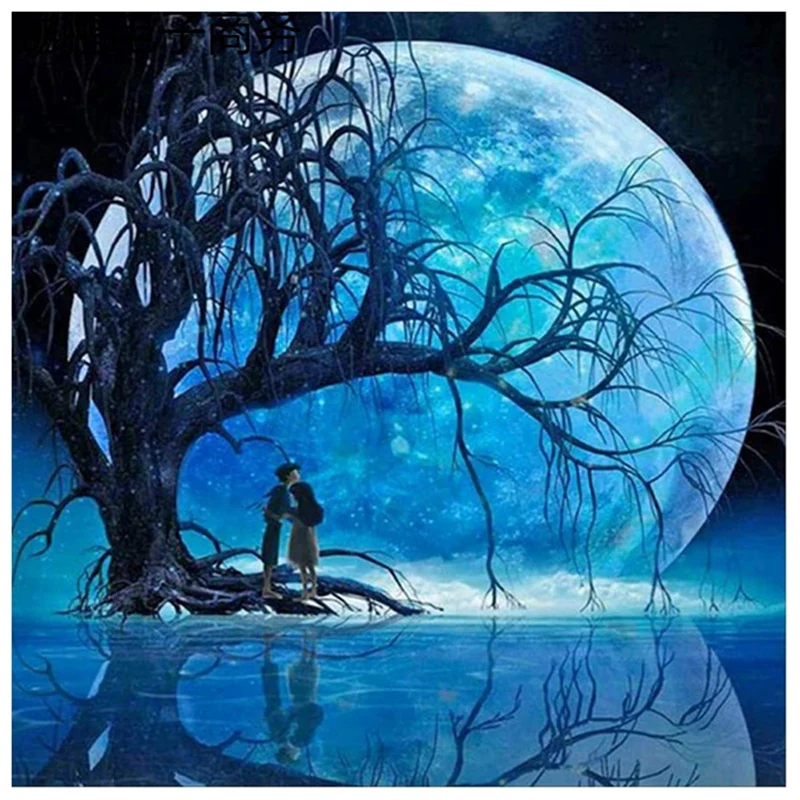 DIY Diamond Painting Diamond Embroidery Round Resin Diamond Cross Stitch Home Wall Decor 30X40cm,Moonlight