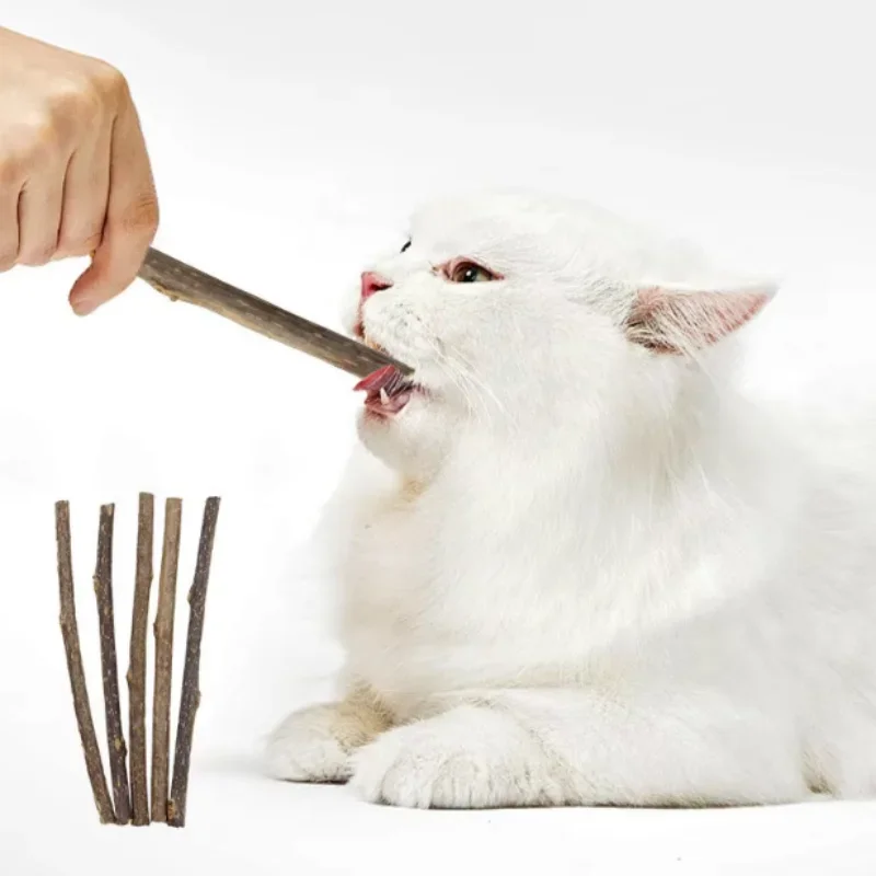 10/15/20 piezas/lote de Palitos de Catnip, Juguetes Molares para Gatos, Palitos de Polygonum de Madera Natural, Limpian los Dientes, Alivian el Aburrimiento, Bocadillos Masticables