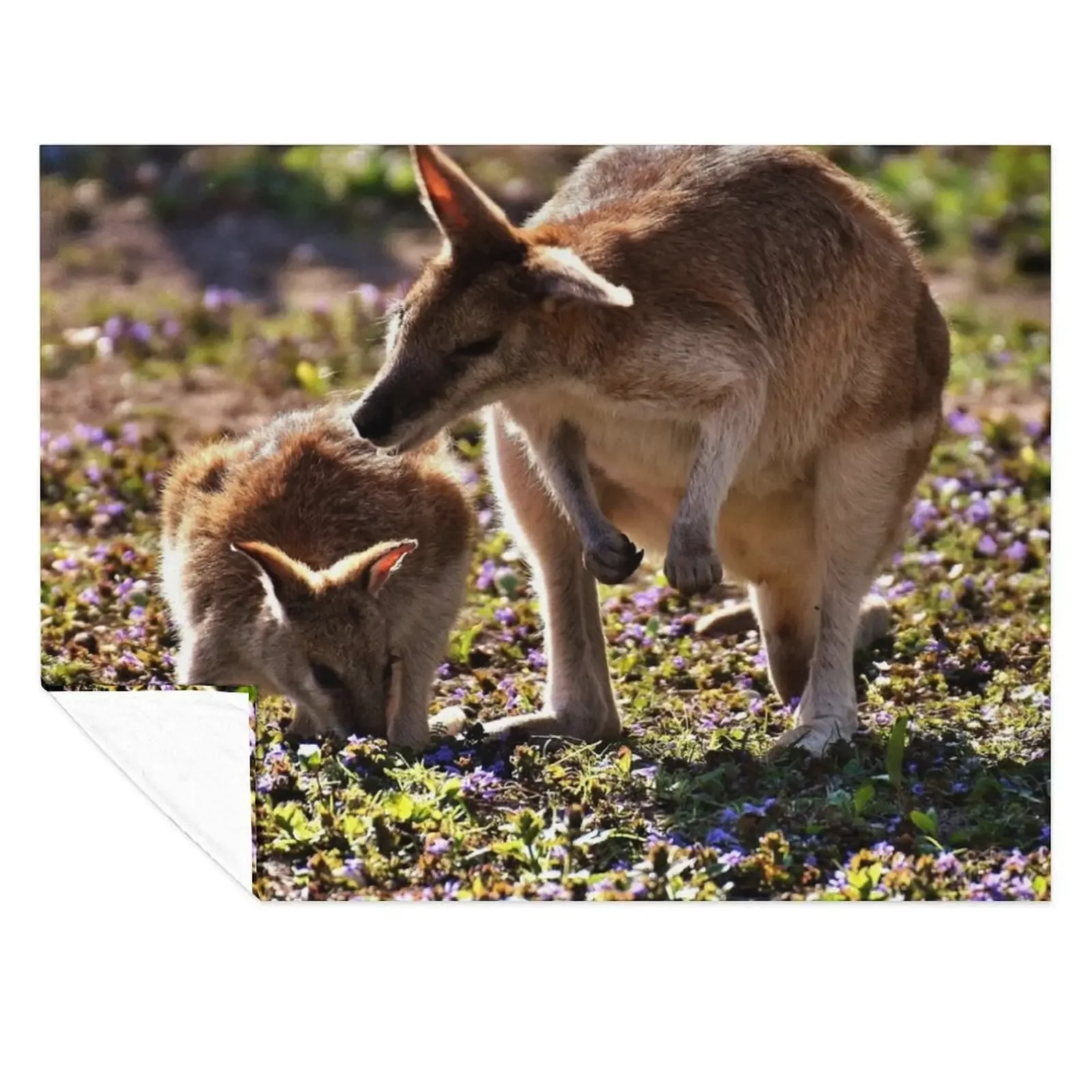 

Kangaroo Throw Blanket Picnic Blankets For Sofas Comforter Travel Blankets