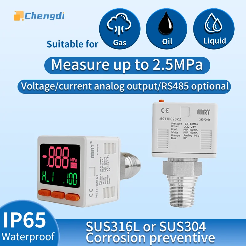 

Fluid digital pressure gauge SUS316L or SUS304 corrosion-resistant IP65 waterproof RS485 NPN/PNP Analog pressure switch sensor