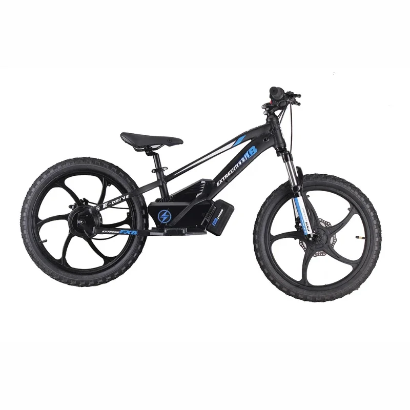 Scooter balance car 400W