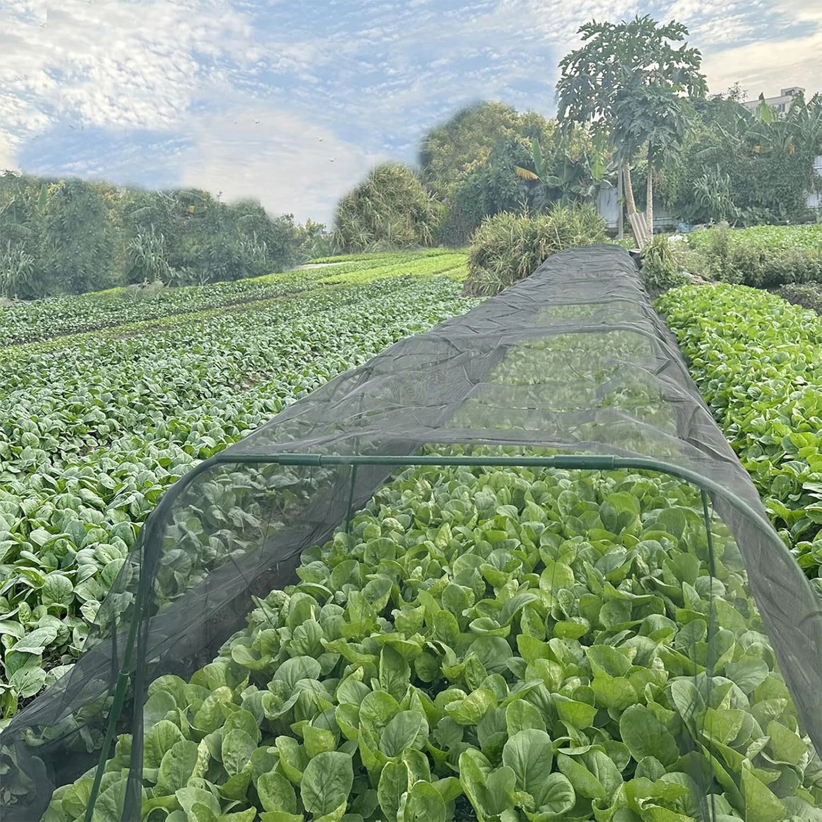 

Черная садовая сетка от насекомых, многоразовая защита от птиц, приподнятая садовая кровать, чехол для овощей, сетка, дышащая сетка для борьбы с вредителями против птиц