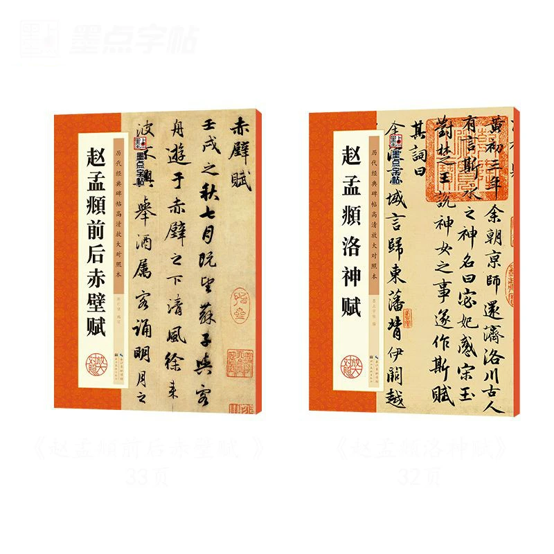 Running Script Calligraphy Brush Book Chinese Zhao Mengfu Copybook Adult Calligraphy Tracing Stone Inscription Rubbings Copybook