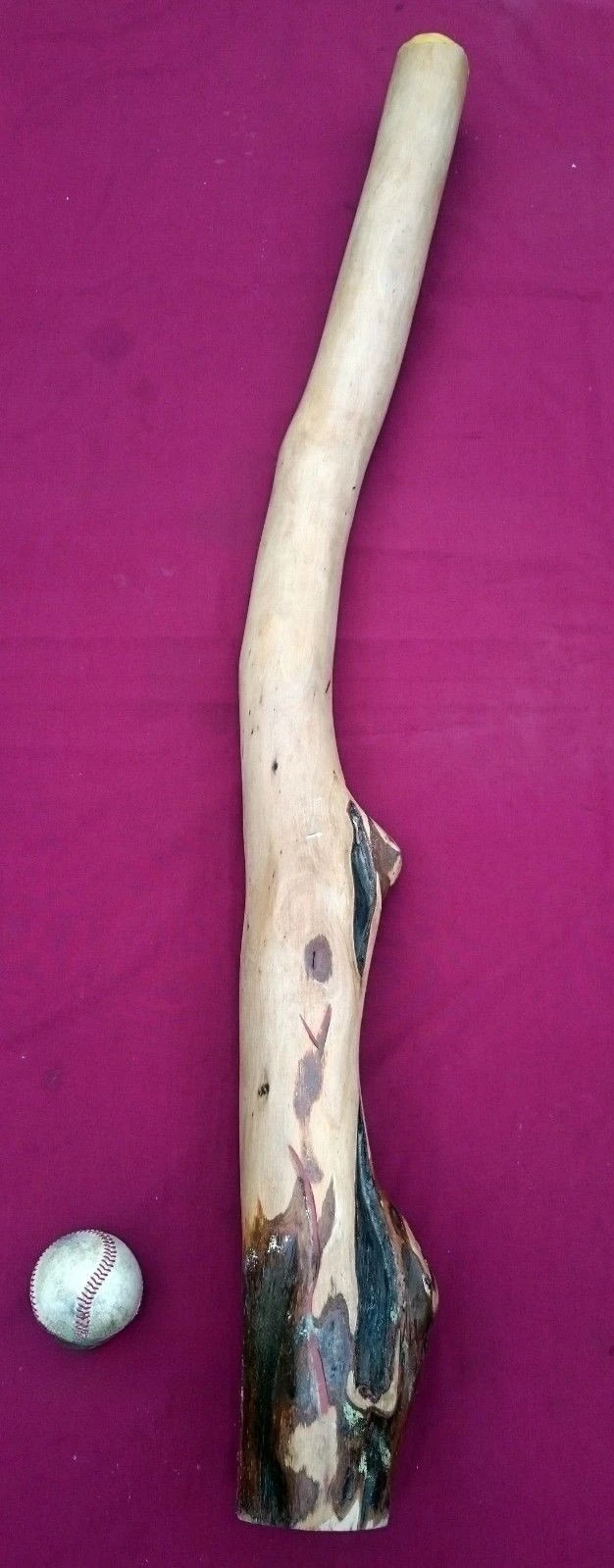 Didgeridoo in G key Termite hollowed out eucalyptus rare instrument
