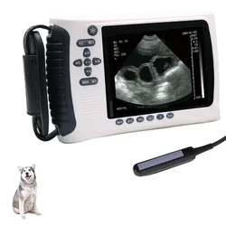 Beste Handheld Dierenarts Prijs Draagbare Ultrasound Machine Veterinaire