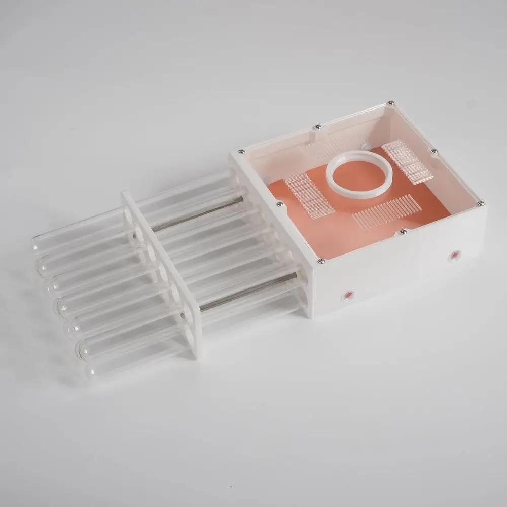 

Набор акриловых пробирок для тестирования, 12 прозрачных пробирок, 20x200 мм, просторное основание с 6 расширительными портами