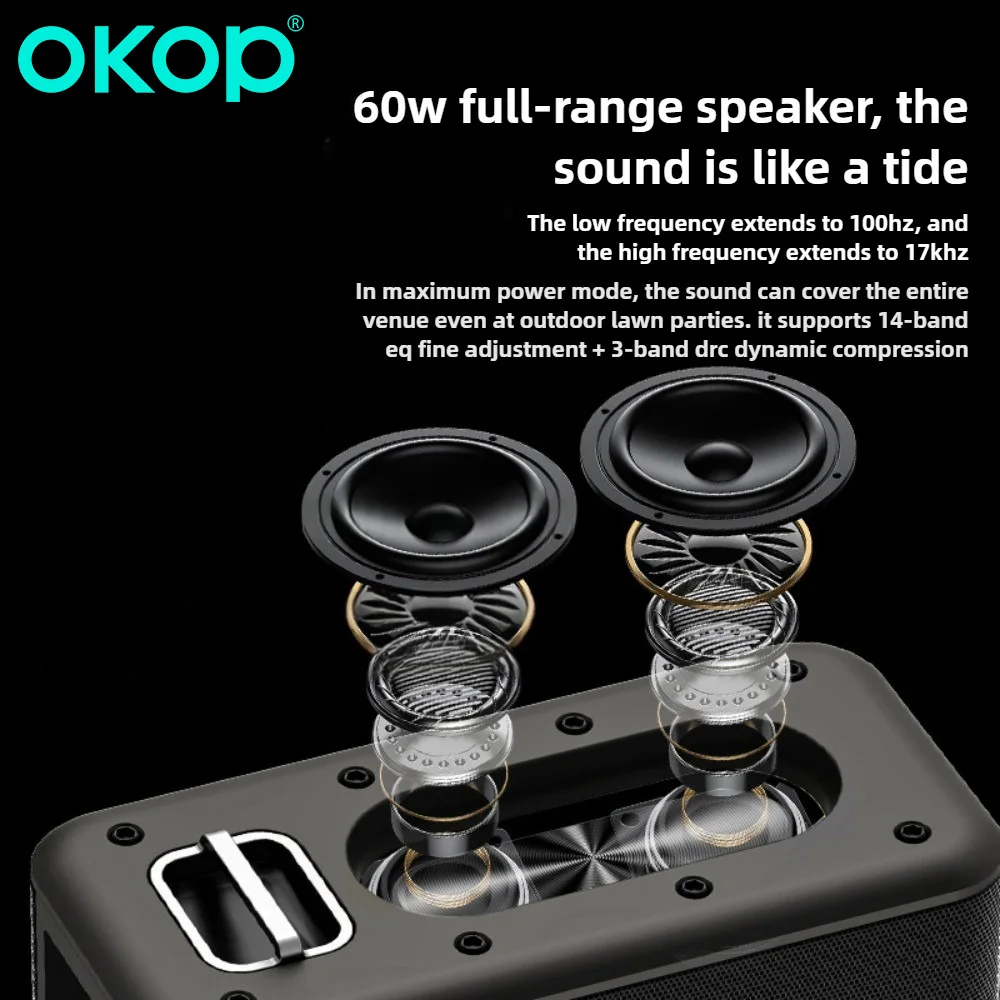 OKOPKaraoke راديو FM سمّاعات بلوتوث محمول مع 2 ميكروفونات لاسلكية Caixa De Som موسيقى مضخم صوت مربع الرقص TWS TF USB #5
